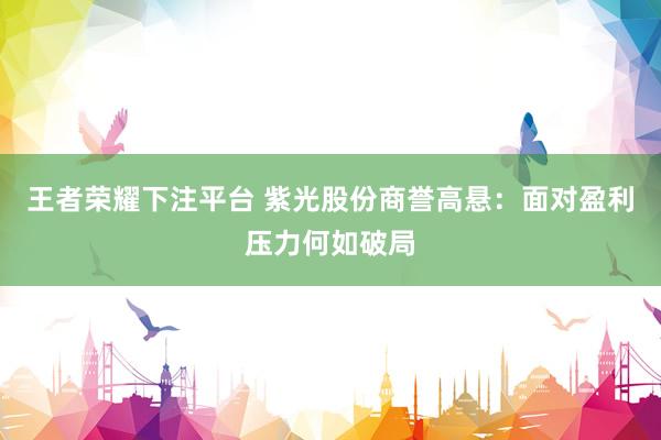 王者荣耀下注平台 紫光股份商誉高悬：面对盈利压力何如破局