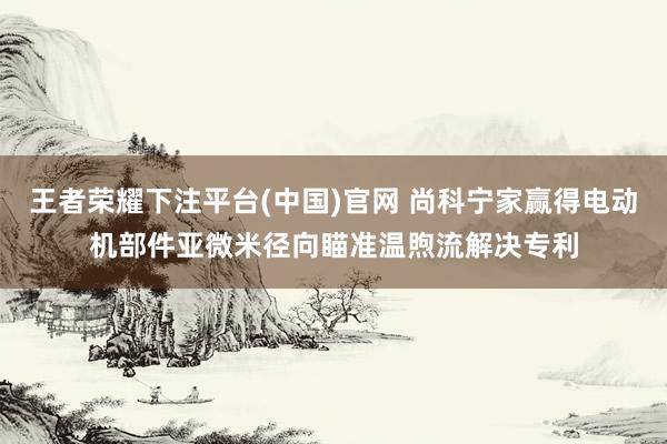 王者荣耀下注平台(中国)官网 尚科宁家赢得电动机部件亚微米径向瞄准温煦流解决专利
