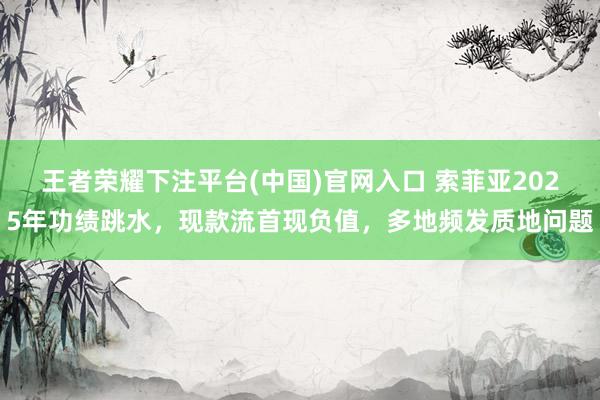 王者荣耀下注平台(中国)官网入口 索菲亚2025年功绩跳水，现款流首现负值，多地频发质地问题