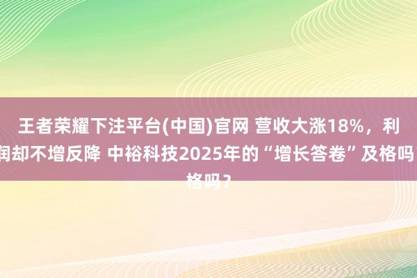 王者荣耀下注平台(中国)官网 营收大涨18%，利润却不增反降 中裕科技2025年的“增长答卷”及格吗？