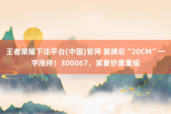 王者荣耀下注平台(中国)官网 复牌后“20CM”一字涨停！300067，紧要钞票重组