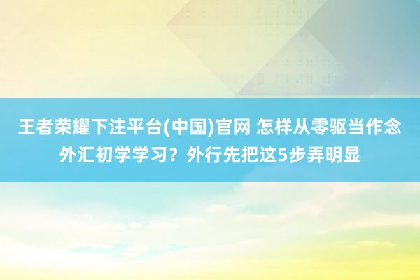 王者荣耀下注平台(中国)官网 怎样从零驱当作念外汇初学学习？外行先把这5步弄明显
