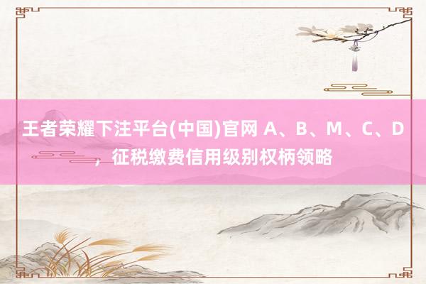 王者荣耀下注平台(中国)官网 A、B、M、C、D，<a href=