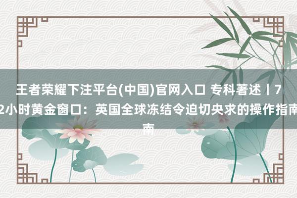 王者荣耀下注平台(中国)官网入口 专科著述丨72小时黄金窗口：英国全球冻结令迫切央求的操作指南