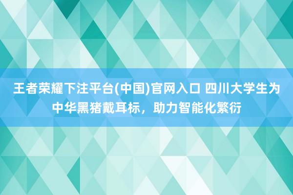王者荣耀下注平台(中国)官网入口 四川大学生为中华黑猪戴耳标，助力智能化繁衍
