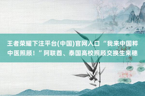 王者荣耀下注平台(中国)官网入口 “我来中国粹中医照顾！”阿联酋、泰国高校照顾交换生来穗