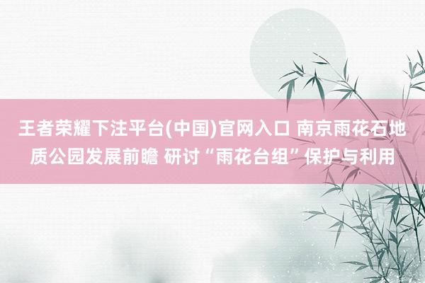 王者荣耀下注平台(中国)官网入口 南京雨花石地质公园发展前瞻 研讨“雨花台组”保护与利用