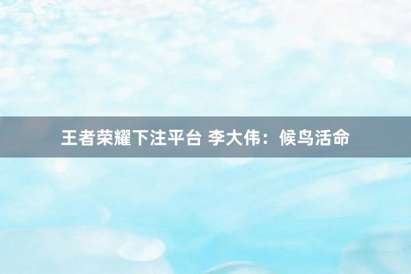 王者荣耀下注平台 李大伟：候鸟活命