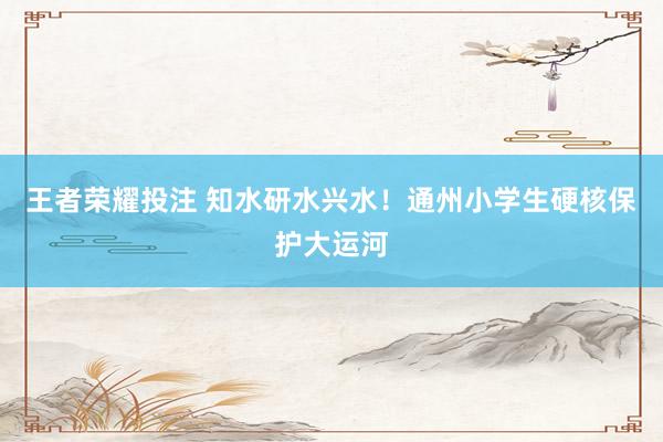 王者荣耀投注 知水研水兴水！通州小学生硬核保护大运河