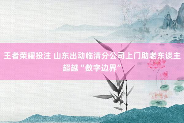 王者荣耀投注 山东出动临清分公司上门助老东谈主超越“数字边界”