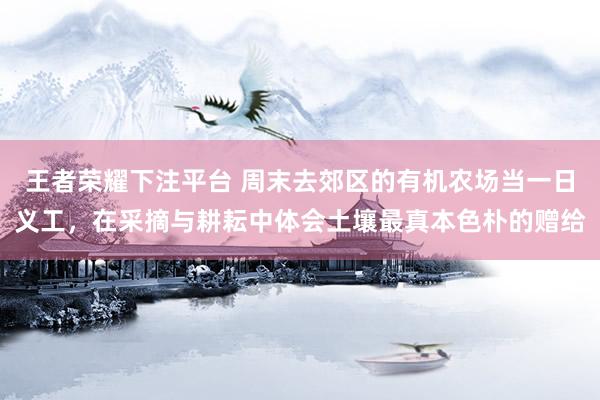 王者荣耀下注平台 周末去郊区的有机农场当一日义工，在采摘与耕耘中体会土壤最真本色朴的赠给
