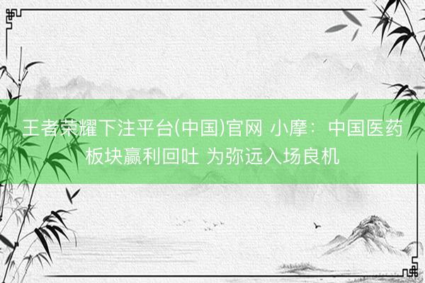 王者荣耀下注平台(中国)官网 小摩：中国医药板块赢利回吐 为弥远入场良机