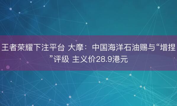 王者荣耀下注平台 大摩：中国海洋石油赐与“增捏”评级 主义价28.9港元