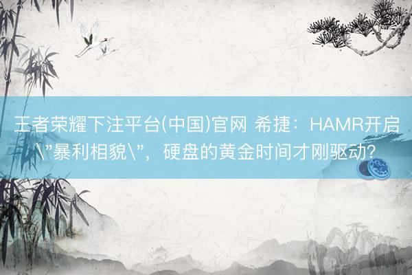 王者荣耀下注平台(中国)官网 希捷：HAMR开启