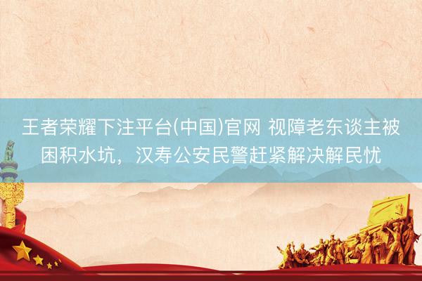王者荣耀下注平台(中国)官网 视障老东谈主被困积水坑，汉寿公安民警赶紧解决解民忧