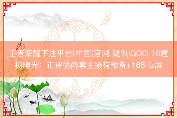 王者荣耀下注平台(中国)官网 疑似iQOO 16建树曝光：正评估两套主摄有预备+165Hz屏